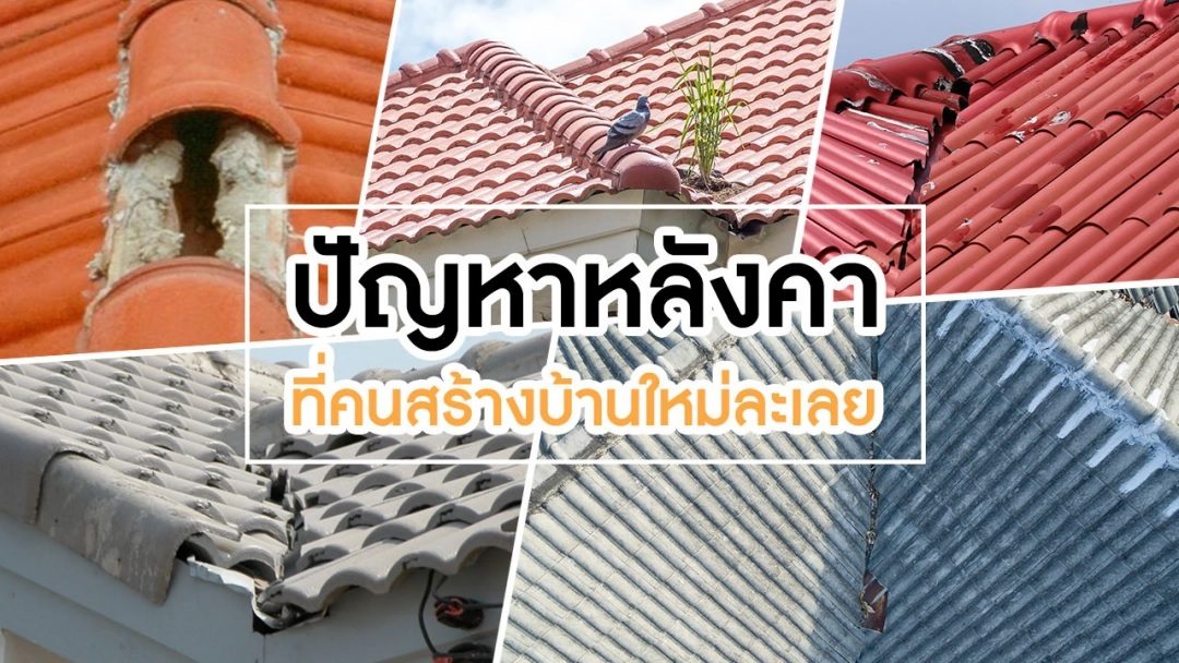 ปัญหาหลังคา ที่คนสร้างบ้านใหม่ละเลย