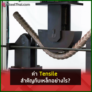 83989708_594553054460588_4640373659775533056_n