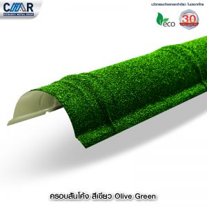 %e0%b8%84%e0%b8%a3%e0%b8%ad%e0%b8%9a%e0%b8%aa%e0%b8%b1%e0%b8%99%e0%b9%82%e0%b8%84%e0%b9%89%e0%b8%87-%e0%b8%aa%e0%b8%b5-olive-green