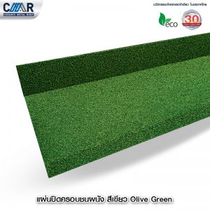 %e0%b9%81%e0%b8%9c%e0%b9%88%e0%b8%99%e0%b8%9b%e0%b8%b4%e0%b8%94%e0%b8%84%e0%b8%a3%e0%b8%ad%e0%b8%9a%e0%b8%8a%e0%b8%99%e0%b8%9c%e0%b8%99%e0%b8%b1%e0%b8%87-%e0%b8%aa%e0%b8%b5-olive-green