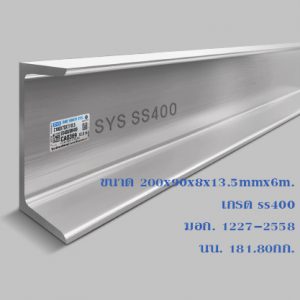 CN200x90x8x13.5mmx6m.